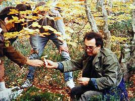 1992 Grevena
